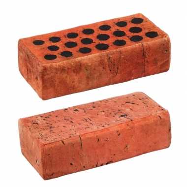 2x stuks woondecoratie bakstenen kussens 25 cm