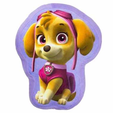 Sierkussen paw patrol skye
