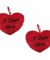 15x stuks hartvormig valentijnsdag kussen i love you
