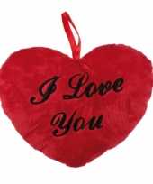 Hartvormig valentijnsdag kussen i love you 10064050