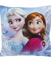 Kinder kussen frozen elsa en anna