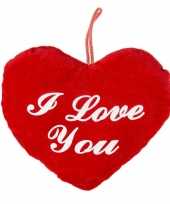 Rood hartjes kussen i love you 22 cm