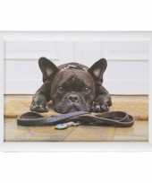 Set van 2 schootkussens laptrays schattige franse bulldog honden print 43 x 33 cm