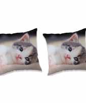 Set van 2x stuks grijs witte kitten sierkussens bankkussens 40 x 40 cm dierenprint